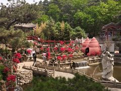 -红螺寺