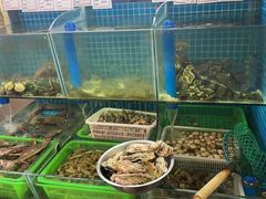 水产区-老家黄墩小错鸡·活海鲜