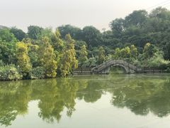 -张坝桂圆林公园