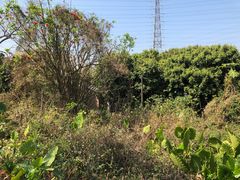 -美的鹭湖探索王国