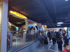 -苏州乐园森林水世界