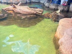 -重庆欢乐海底世界
