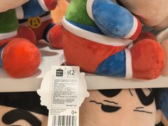 -芽庄中心购物广场