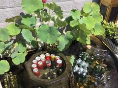 -芙蓉街-王府池子