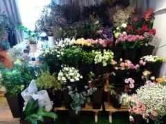 -森野花艺培训·企业团建活动沙龙