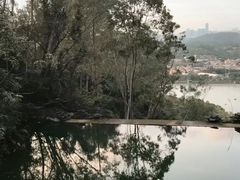 -水濂山森林公园