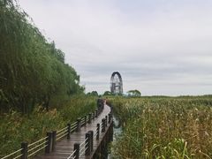 -太湖湖滨国家湿地公园-停车场