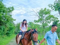 -广东花都香草世界旅游度假区