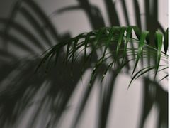 -大芬美术馆