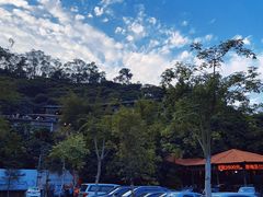 -鲤鱼塘农家山庄