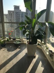 -一个差评成就的纹眉店