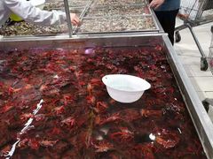 -永辉超市(鲁谷店)