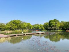 -西溪国家湿地公园