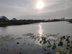 -哈尔滨大剧院