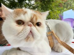 -青岛海尔洲际酒店