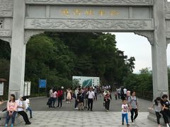 -羚羊峡古栈道森林公园