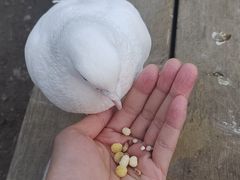 -音乐台