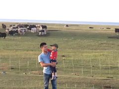 -青海湖国家重点风景名胜区