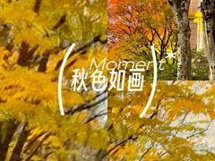 -东莞植物园
