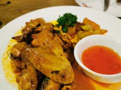 -百好乐宠物友好餐厅(朝外大街店)