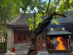 -罔极寺