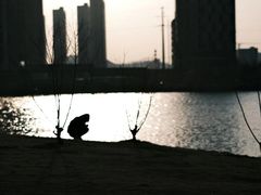 -九龙湖公园