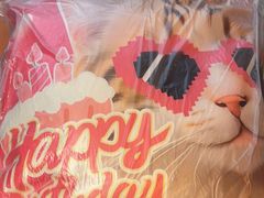 -猫抓烤肉(春熙路店)