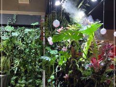 -森味薪火烧•烧鸟居酒屋•日本料理(望京店)