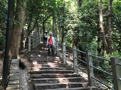 -灵顺寺