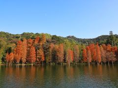 -广州市白云山风景名胜区