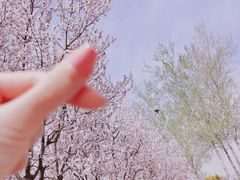 -济南植物园