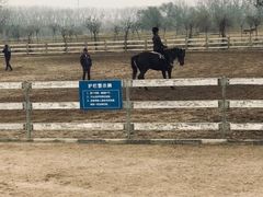 -月河湾马术俱乐部(朝阳店)