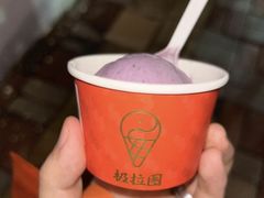 -极拉图·现制冰淇淋(大卫城店)