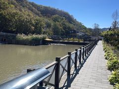 -荷塘味道(水长城店)