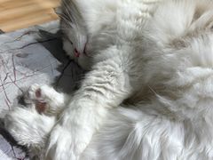 -听TA说宠咖·宠物生活馆(天韵水岸店)