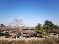 -观潮胜地公园