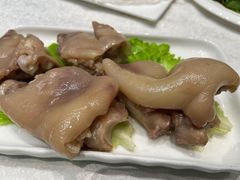 -丁老爷子苏香圆