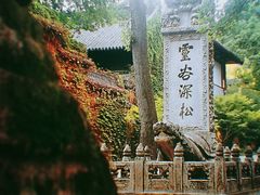 -灵谷景区