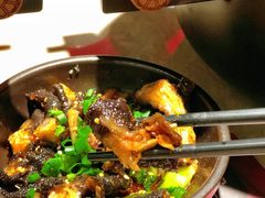 -蛙小侠(五象万象汇店)