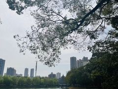 -宝岛公园