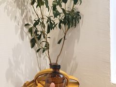 景观位-polonio