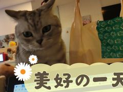 -平行世界·猫咖(首经贸店)