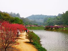 -南国桃园旅游度假区