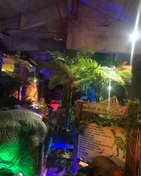 -恐龙探索乐园(磁器口店)