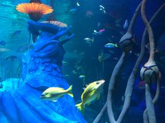 -沈阳海洋探索中心