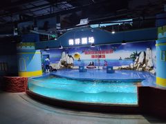-重庆欢乐海底世界