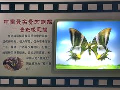 -上海昆虫博物馆