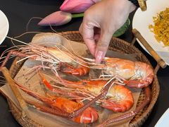 -欢乐蟹庄·精品农家乐(阳澄湖莲花岛店)