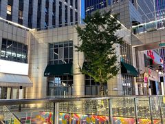 -星巴克臻选(沈阳大悦城店)