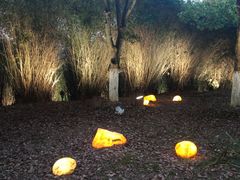 -艾溪湖湿地公园